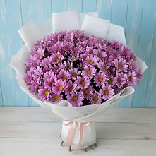 Букет цветов из:  Хризантемы #REPLACE_PRED# Увельском