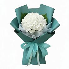 Букет цветов из:  Гортензия #REPLACE_PRED# Увельском